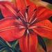 Tattoos - Lily Flower - 59897