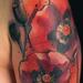 Tattoos - Poppies Flowers - 73508