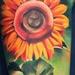 tattoo galleries/ - Sunflower