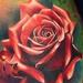 color rose tattoo Tattoo Thumbnail