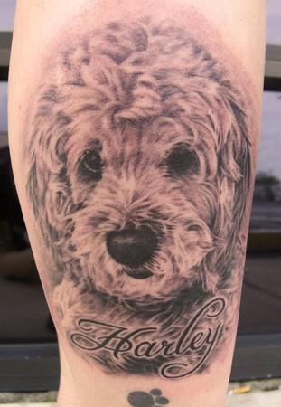 Tattoos - Dog Portrait - 38196