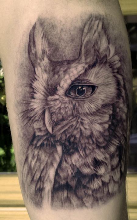 Pepper - Owl Tattoo