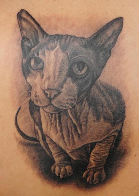 Tattoos - Sphynx Cat - 56778