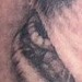Tattoos - Dog Portrait - 38197