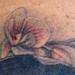 tattoo galleries/ - Portrait and Orchid Tattoo - 61516