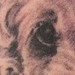 Tattoos - Dog Portrait - 38196