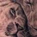 Tattoos - Two Lions - 66983