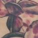 tattoo galleries/ - Orchid Tattoo 
