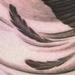 Tattoos - Pelican - 69510
