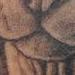 Tattoos - Sphynx Cat - 56778