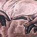 tattoo galleries/ - The Creation of Adam - 75788