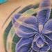 tattoo galleries/ - orchid cover-up - 57337