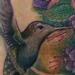tattoo galleries/ - Hummingbird - 56277