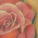 tattoo galleries/ - michelles rose - 56276