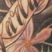 tattoo galleries/ - 