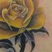 tattoo galleries/ - yellow rose - 56224