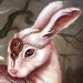 Art Galleries - Rabbits Art - 37592