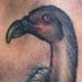 tattoo galleries/ - Vulture Tattoo - 57264