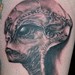 tattoo galleries/ -  - 39737