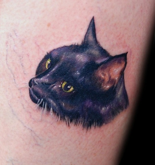 Tattoos - Cat Portrait Tattoo - 50413