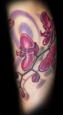 Marvin Silva - Orchid