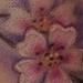 Tattoos - Cherry Blossoms foot tattoo - 39475