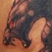 Tattoos - Frank Frazetta Gargoyle Tattoo - 40556