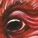 Tattoos - Man Pig - 42330