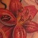 Tattoos - Custom Tiger Lillies Tattoo - 43100