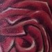 Tattoos - Flowers Tattoo - 43476