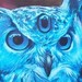 Tattoos - The Wise Owl - 44250
