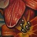 Tattoos - Custom Flower Leg Tattoo - 47594