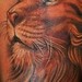 Tattoos - Lion Peacock Tattoo - 52191