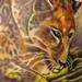 Tattoos - Leopard Tattoo - 68035