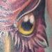 Tattoos - Owl Tattoo - 73823
