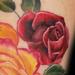 Tattoos - Roses Tattoo - 73893