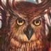 Tattoos - Tripping Owl - 72930