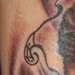 Tattoos - Skinless Cat Tattoo (left) - 39792