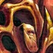 tattoo galleries/ - Bio Claw