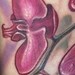 Tattoos - Orchid - 35681