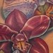 Tattoos - Orchids - 36238