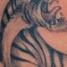 Tattoos - Tiger - 37054