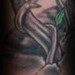 Tattoos - Vines - 36235