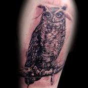 tattoo galleries/ - untitled - 63647