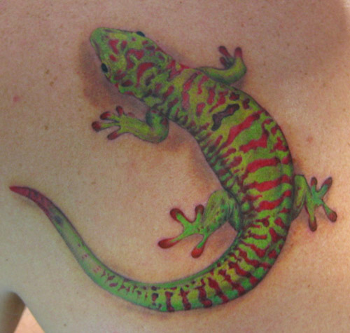 Tattoos - colorful gecko - 24260