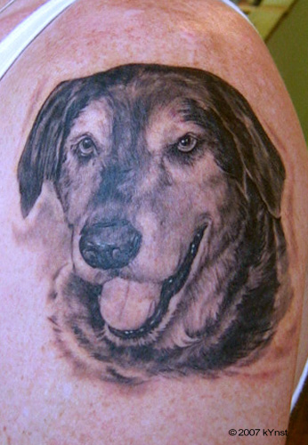 Thomas-kYnst - dog portret
