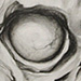 tattoo galleries/ - skully
