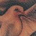 Tattoos - flying dove black and white - 24258