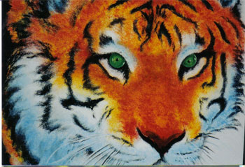 Tattoos - sponge tiger - 12127