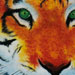 tattoo galleries/ - sponge tiger - 12127